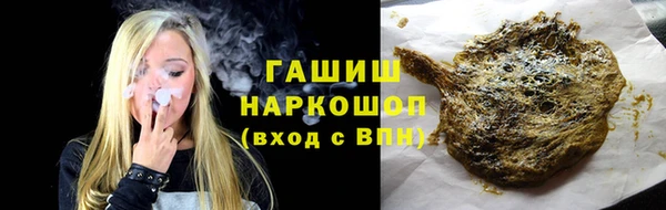 индика Пестово