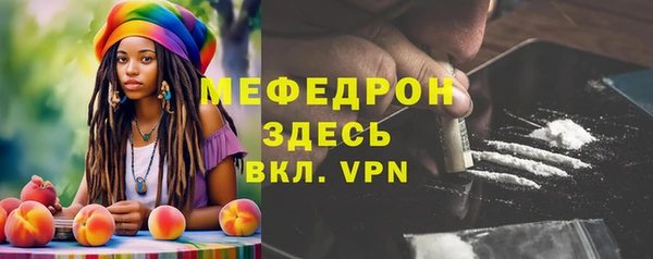 индика Пестово