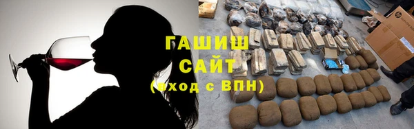 индика Пестово