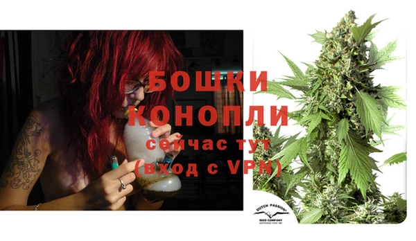 PSILOCYBIN Пролетарск