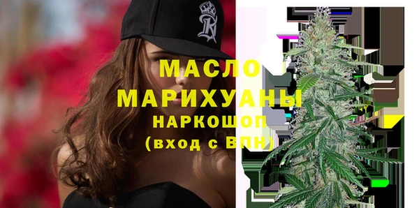 индика Пестово