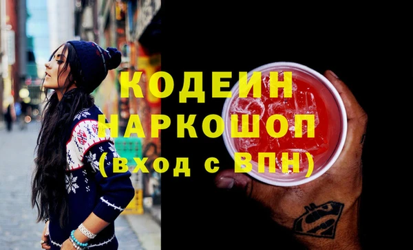 индика Пестово