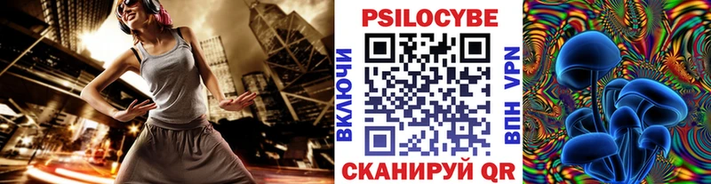 закладки  Курганинск  Псилоцибиновые грибы Psilocybe 