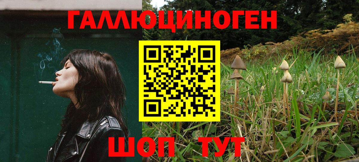 Галлюциногенные грибы MAGIC MUSHROOMS Курганинск