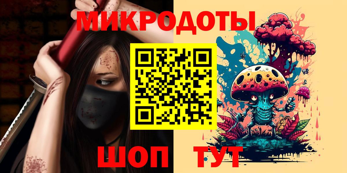 Псилоцибиновые грибы Psilocybe Курганинск