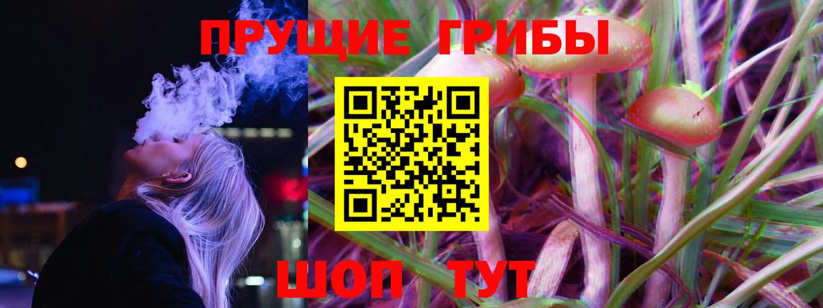 Псилоцибиновые грибы мицелий  Псилоцибиновые грибы GOLDEN TEACHER  Вход с VPN  Курганинск 